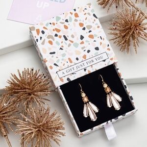Blush Crystal Drop Earrings – NWT – Gift Box Included